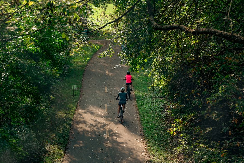 A paved trail path through a park setting