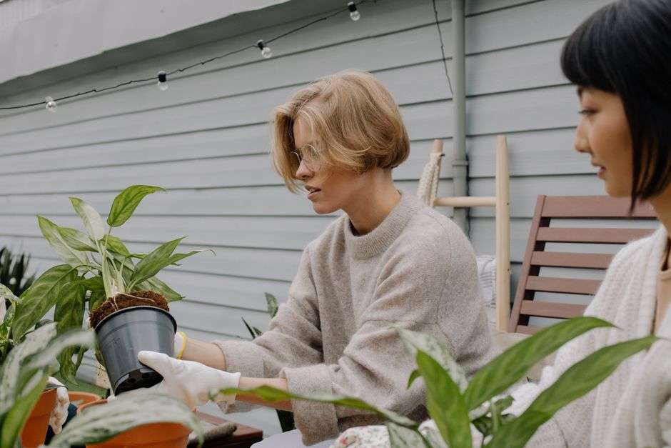Master Gardener volunteers replanting plants together outdoors in a garden setting
