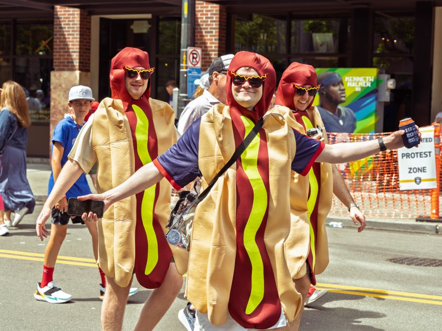 Dogs in costumes at a downtown Mobile pet festival