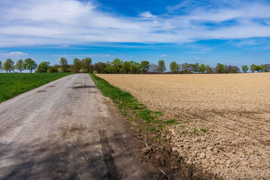 Two-lane rural road through farmland