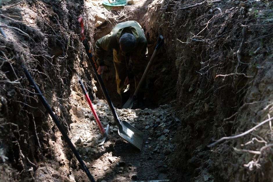 A researcher digs carefully at a wooded excavation site using hand tools