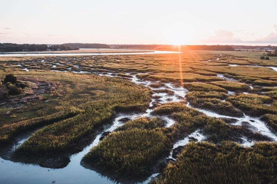 Aerial view of coastal wetlands and marsh along a waterway near Oyster Bay