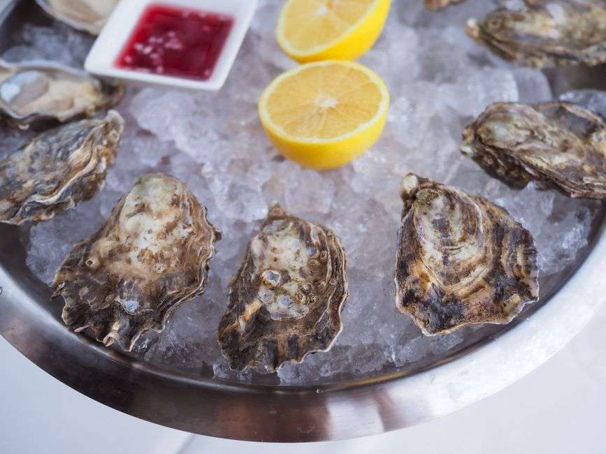 Baked oysters on the half shell, illustrating a Mobile food-history story about Oysters Rockefeller