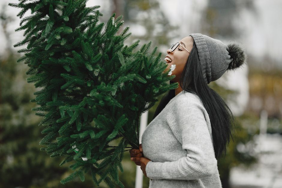 Discarded Christmas trees gathered for recycling into mulch