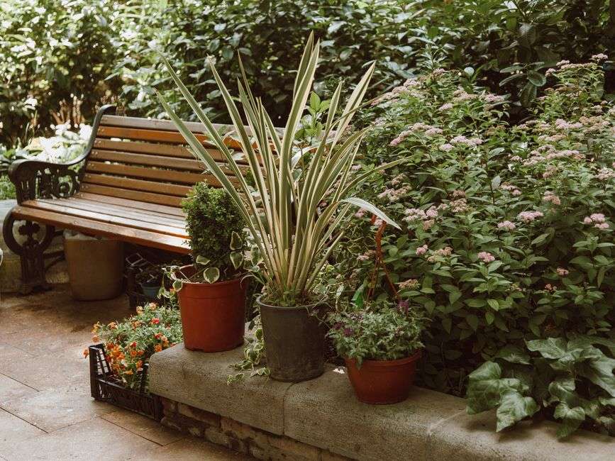 Potted plants and garden beds arranged near a wooden bench in a home landscape
