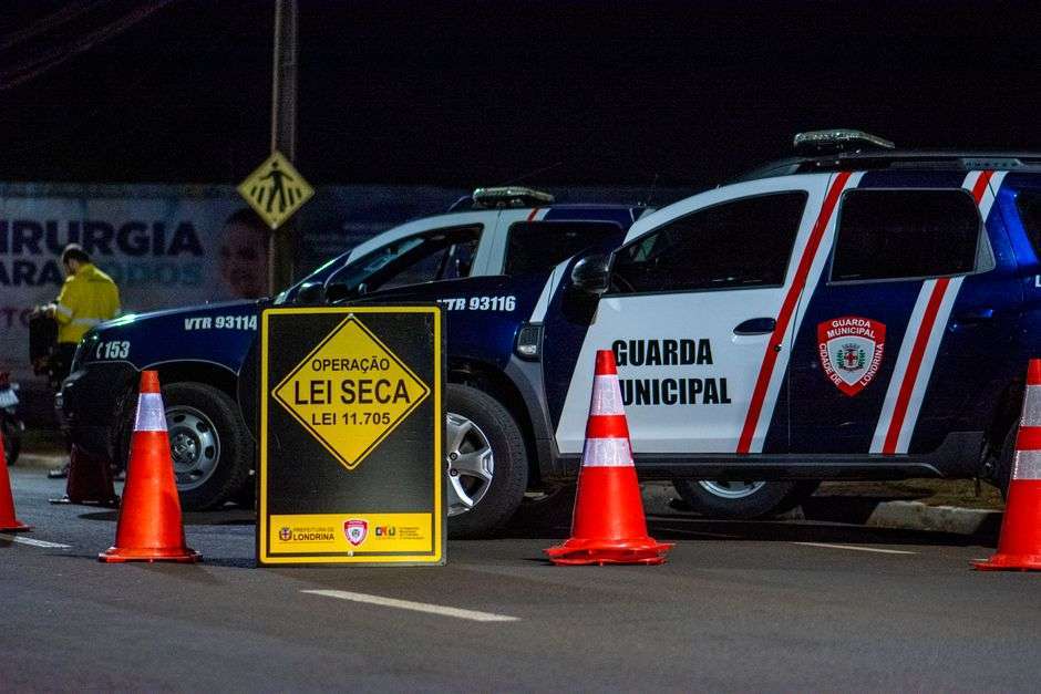 Police officers conducting a nighttime traffic checkpoint