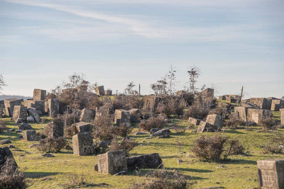 Overgrown historic cemetery with weathered markers representing a forgotten burial ground