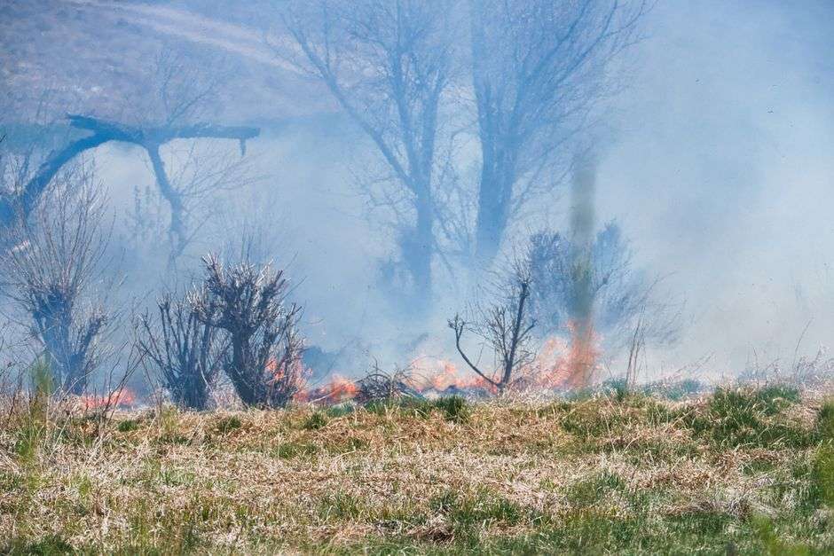 Flames and heavy smoke rise from a wooded brush fire near a grassy field