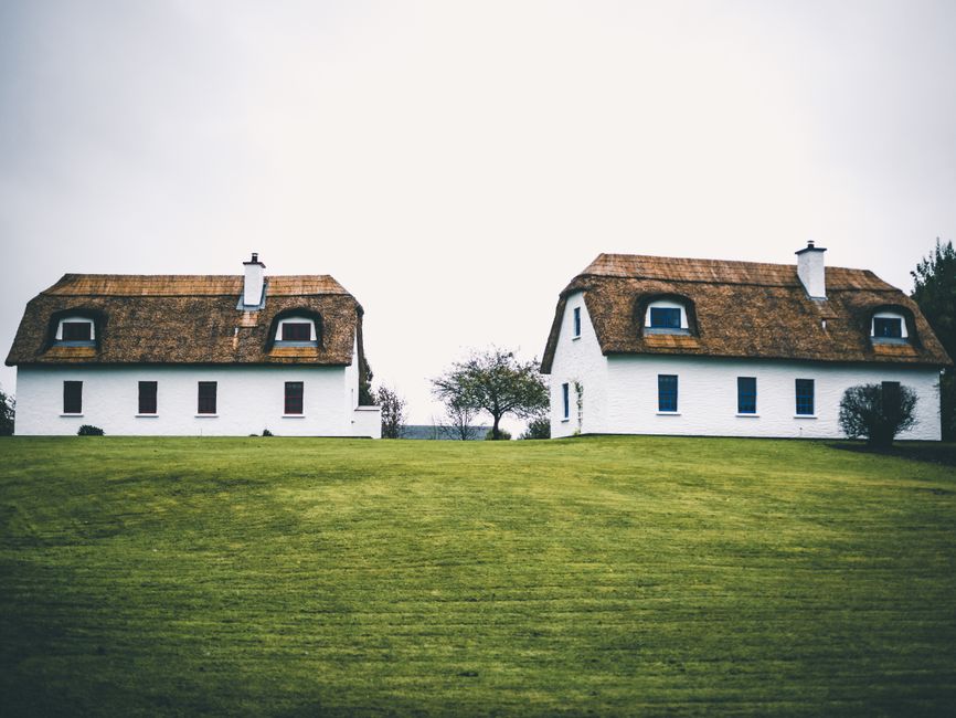 A restored early 1900s farmhouse with a wraparound porch surrounded by oak trees