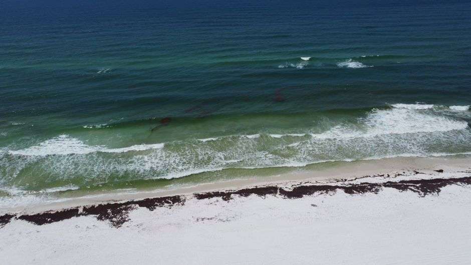 Clear blue skies and calm waves along a sunny Gulf Coast beach