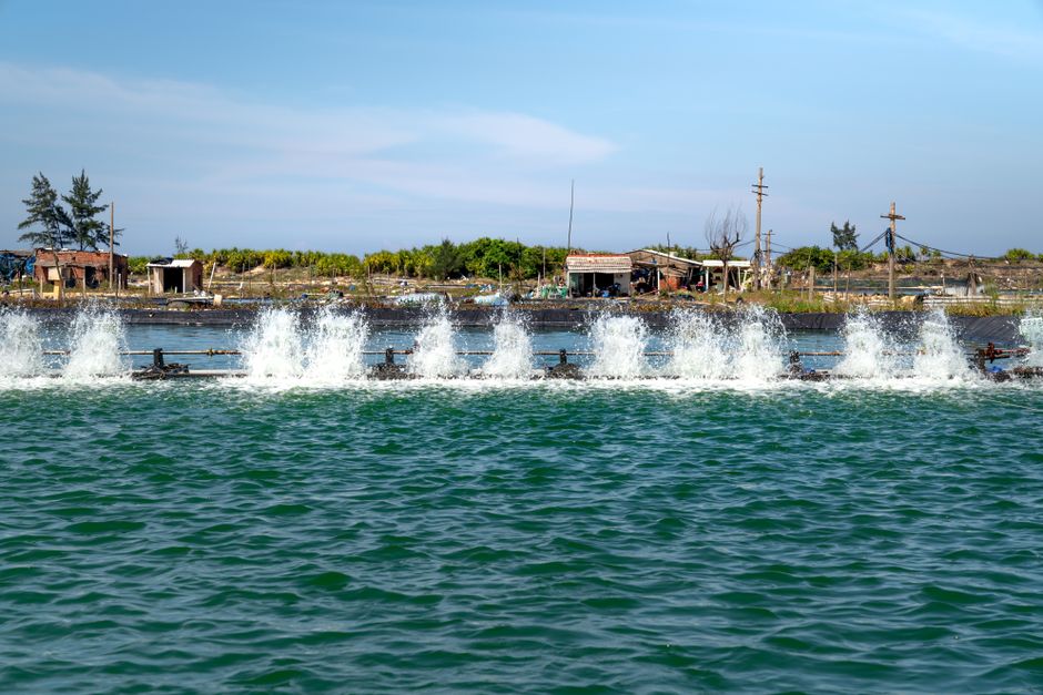 A water treatment and wastewater management facility