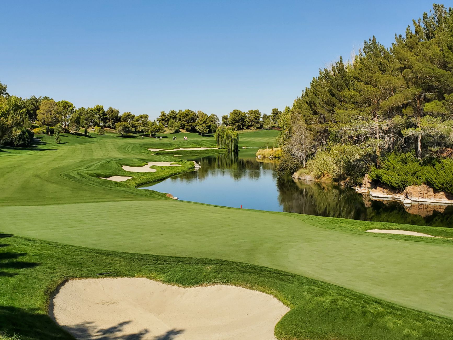 A golf green protected by a pond on a wooded course