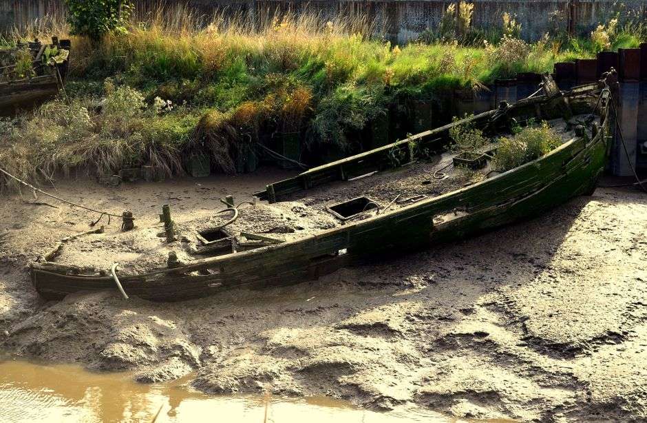 Weathered wooden shipwreck timbers exposed on a muddy riverbank