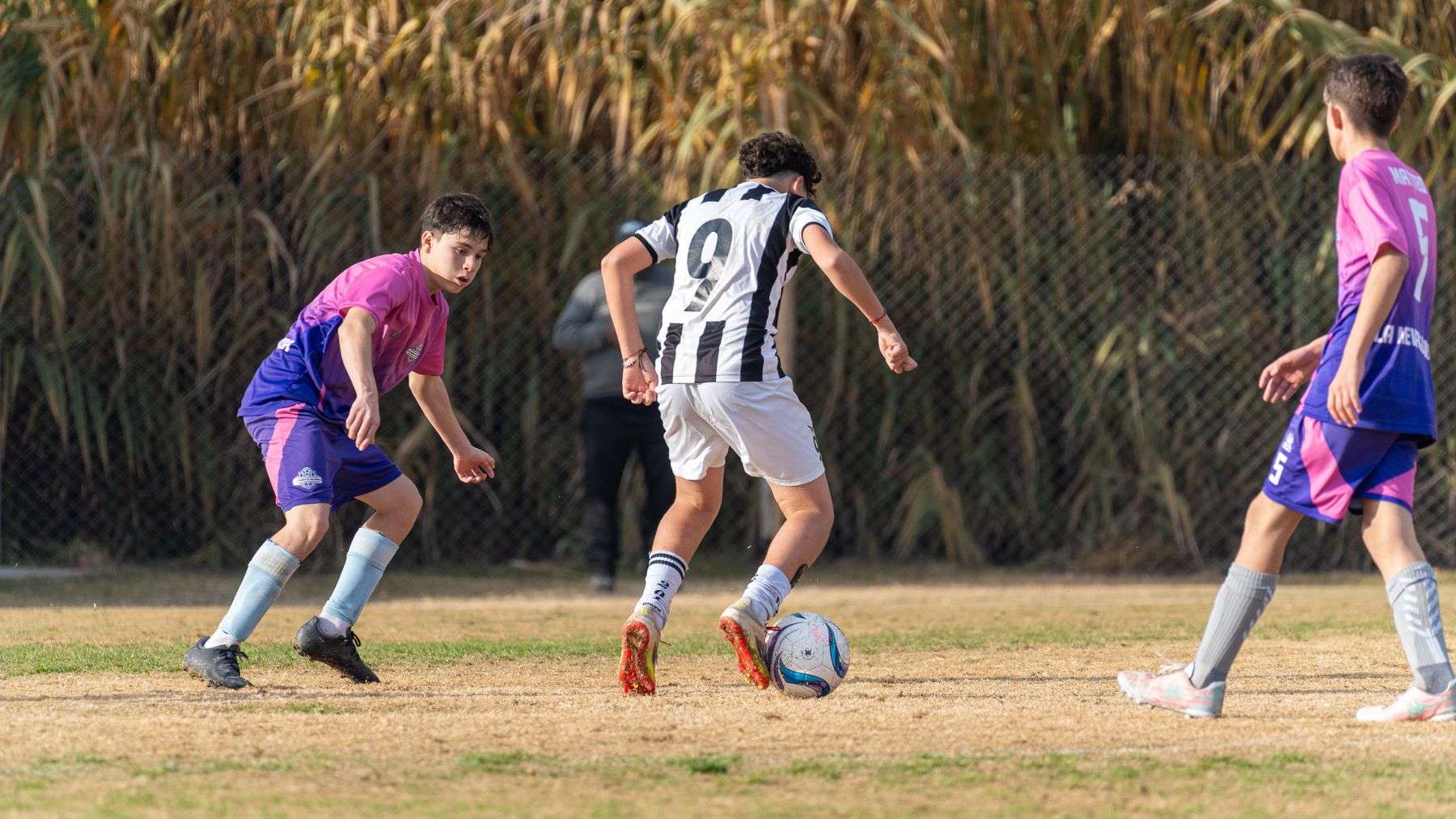 Youth soccer players compete for the ball during a match on a grass field