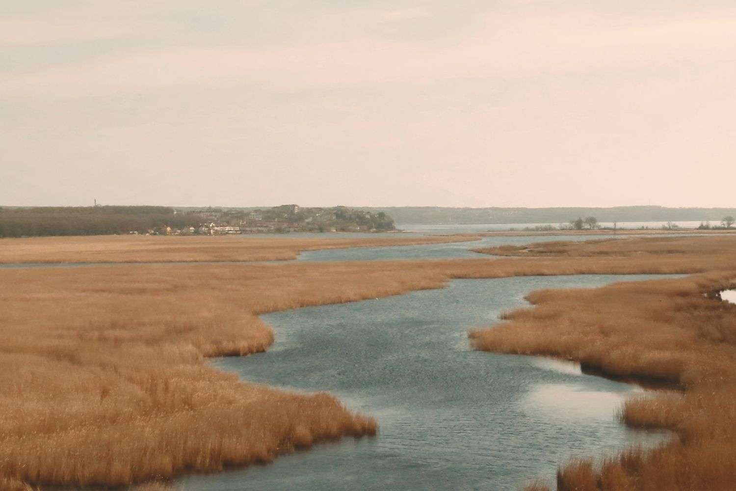 Alabama coastal environment