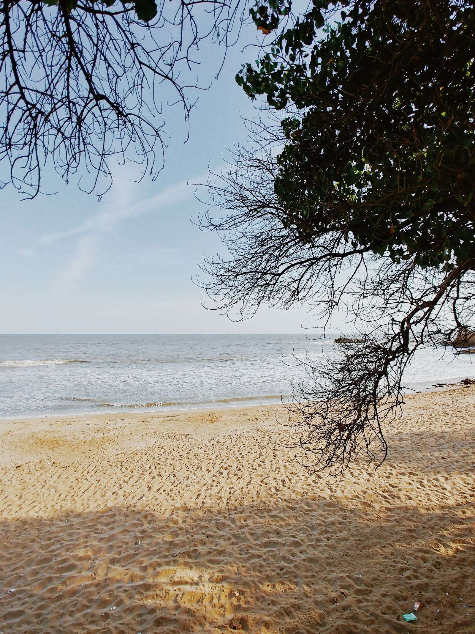 Calm coastal water along a sandy Gulf Coast shoreline