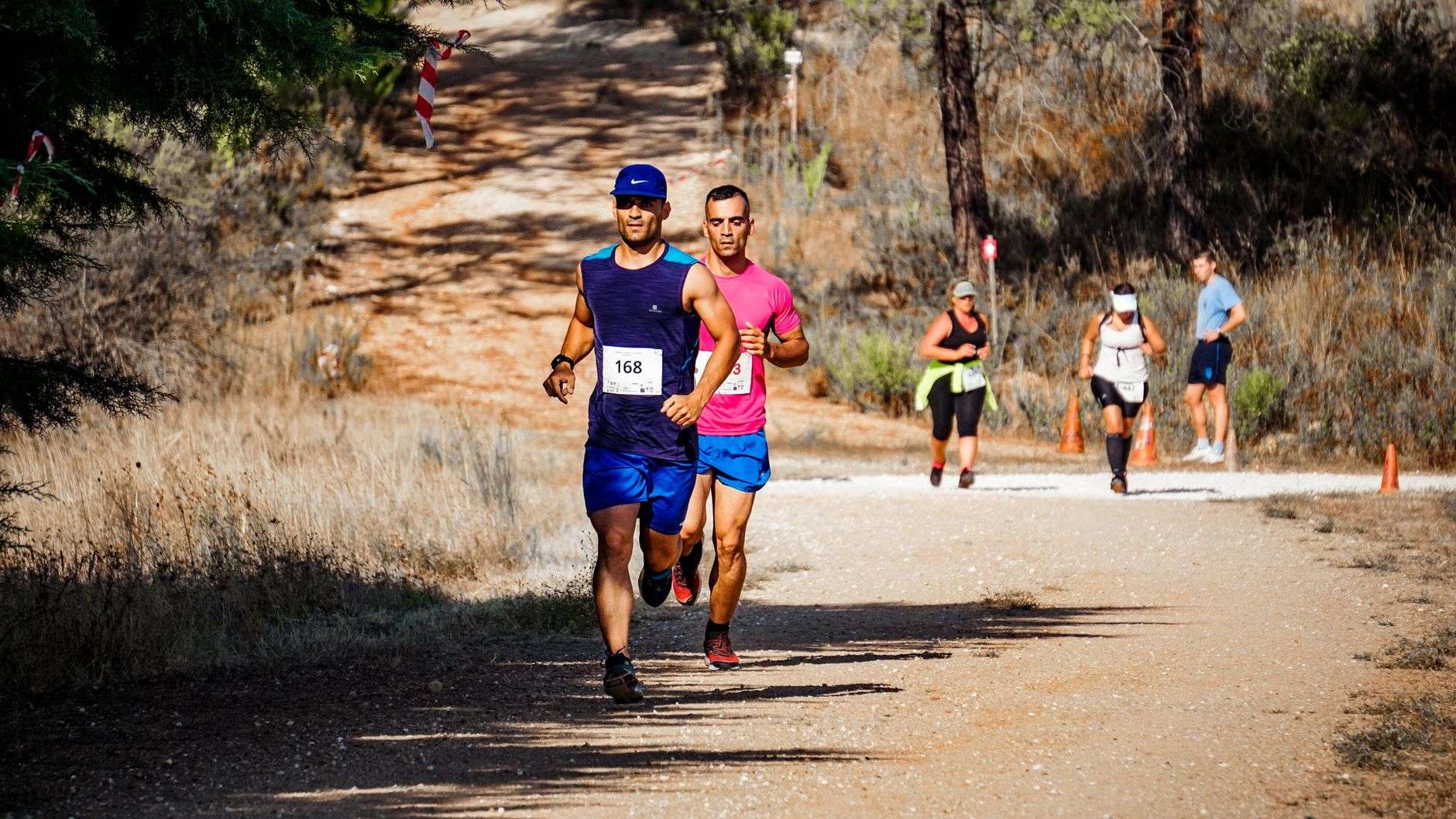 High school cross country runners competing