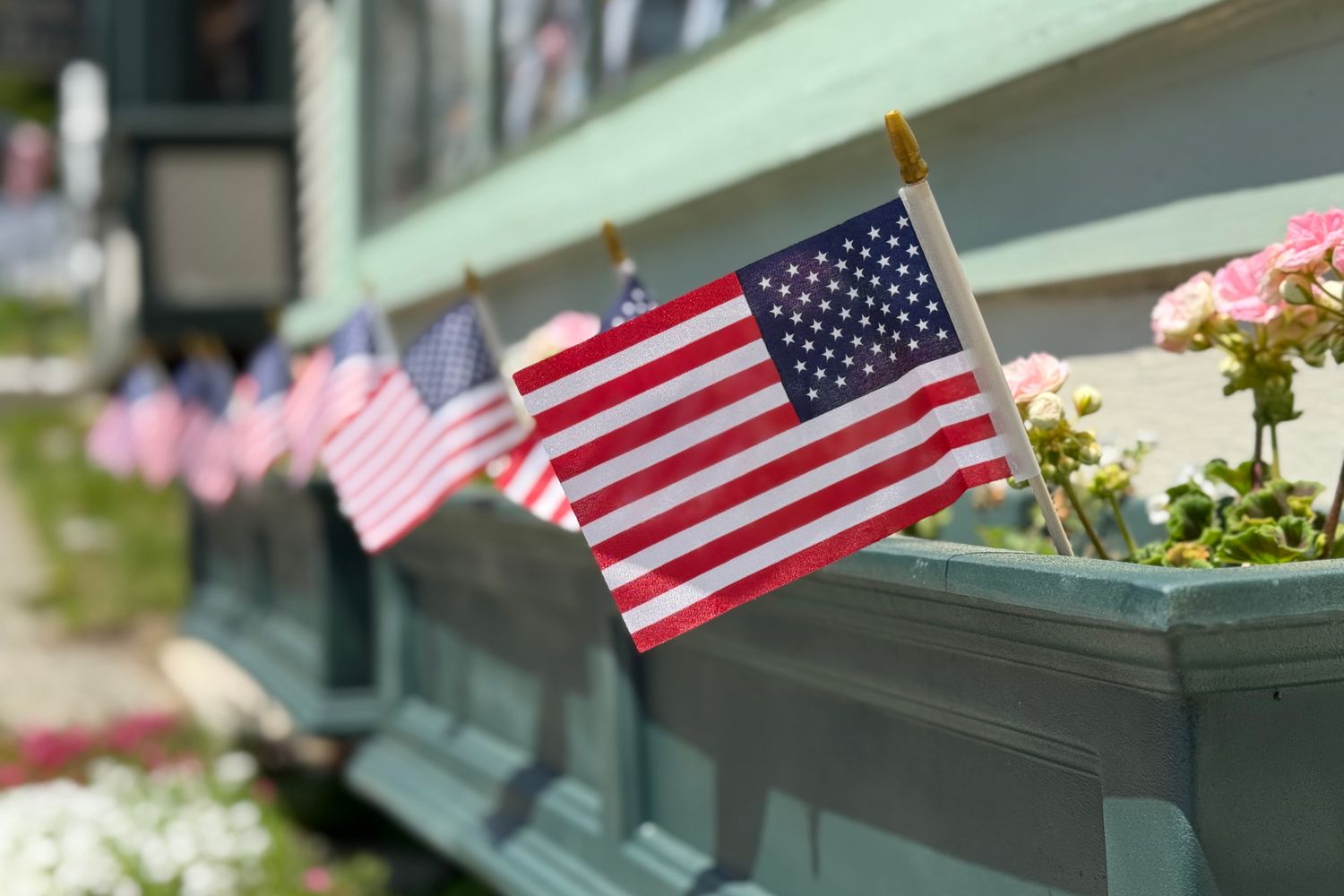 American flags flying in a patriotic display ahead of Independence Day