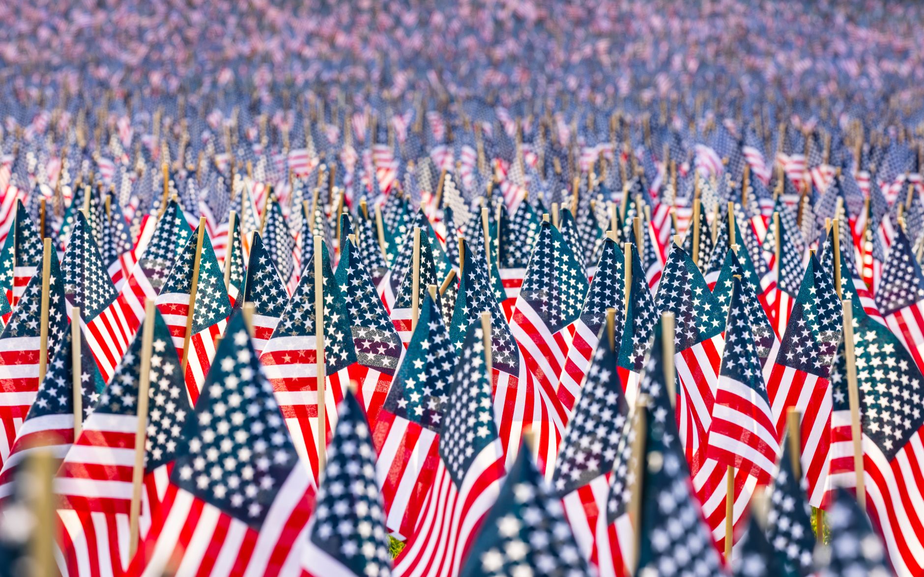 Rows of small American flags planted closely together, filling the frame