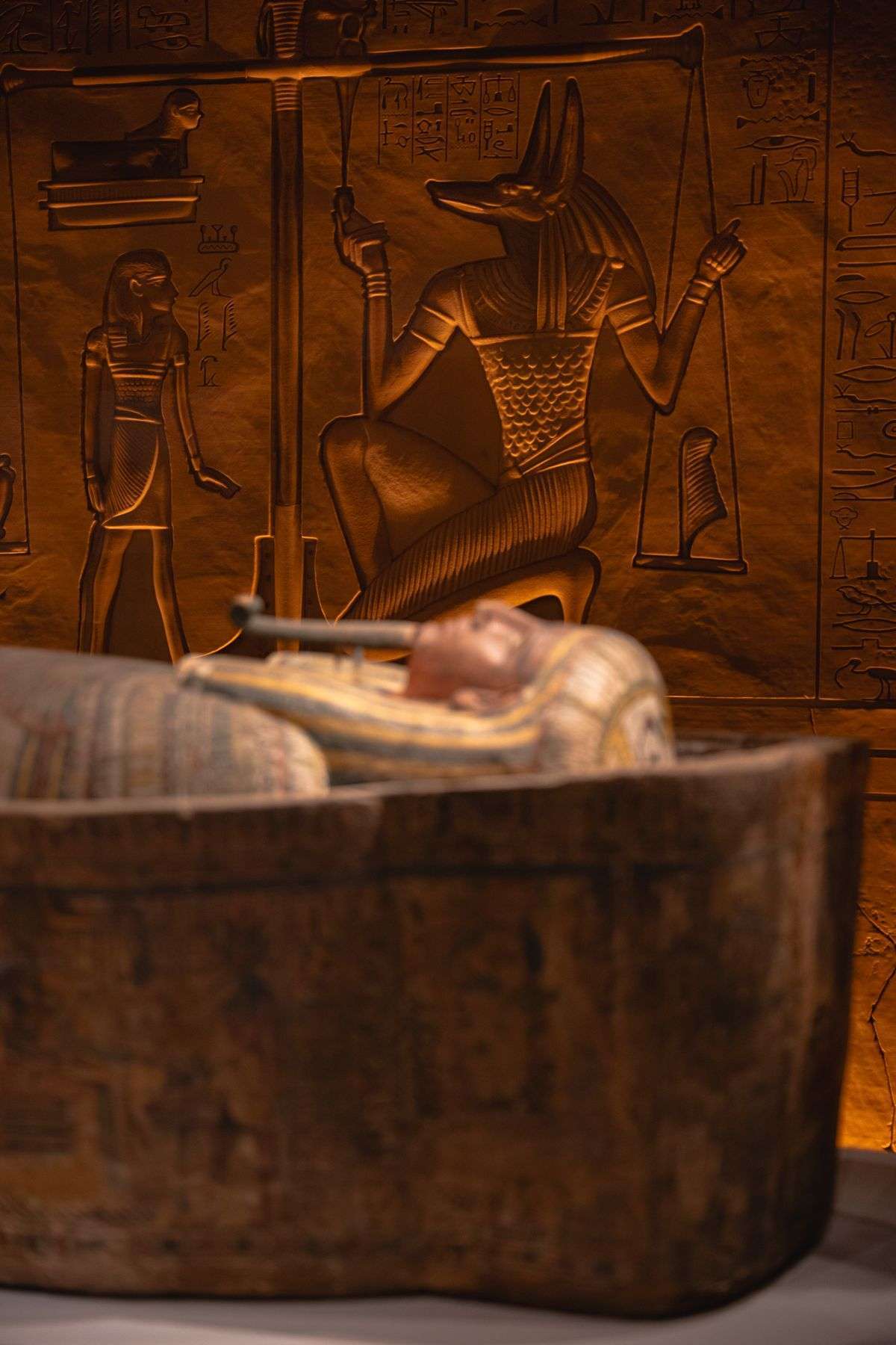 An ancient Egyptian sarcophagus decorated with a relief of the god Anubis, displayed in a museum