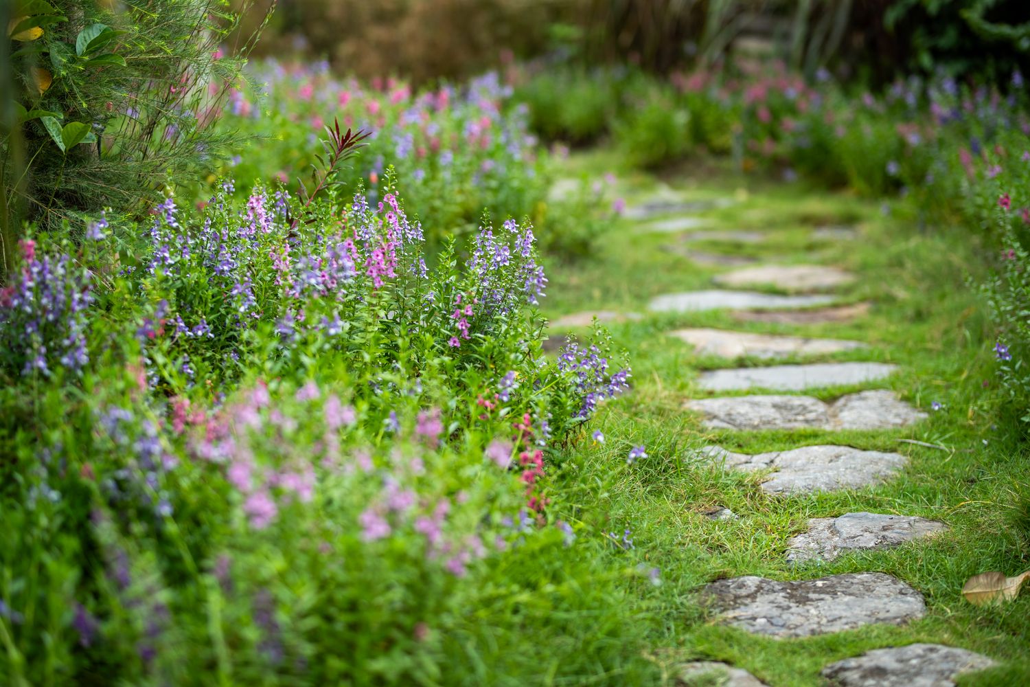 Colorful spring blooms line a walkway at Bellingrath Gardens near Mobile