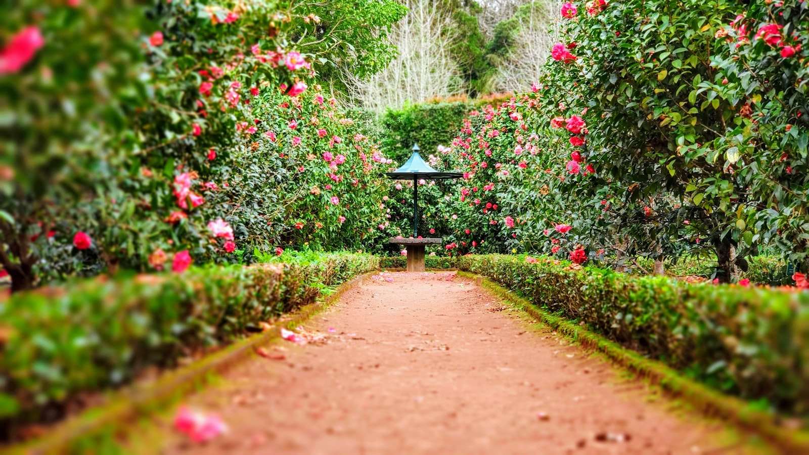 Lush garden pathways and flowering plants at Bellingrath Gardens and Home in Theodore, Alabama