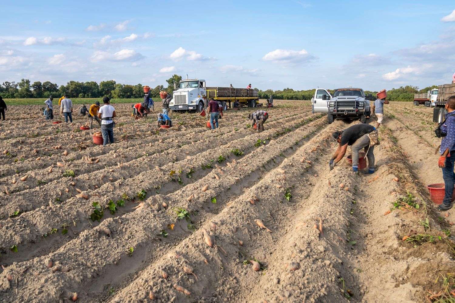 A farmer working in a field in rural South Alabama