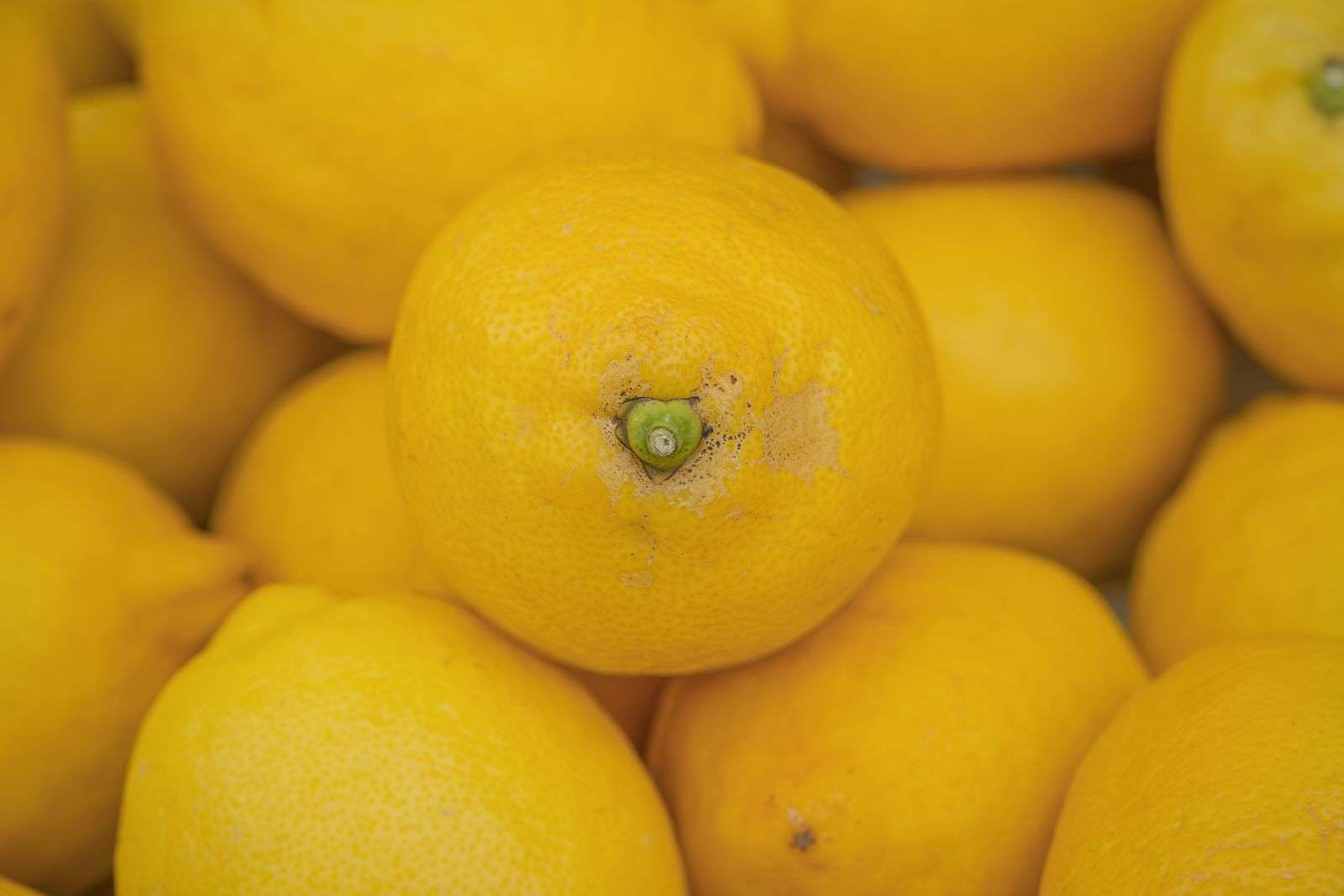 A close-up of fresh bright yellow lemons