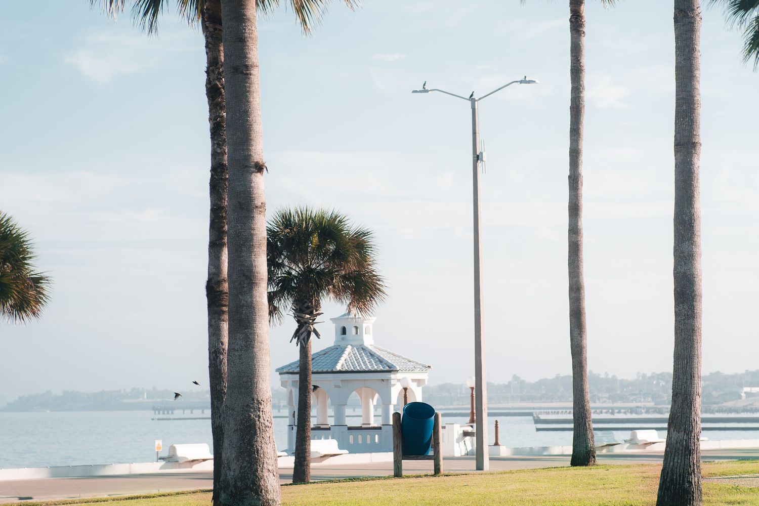 Open green space along a bay shoreline with water in the background
