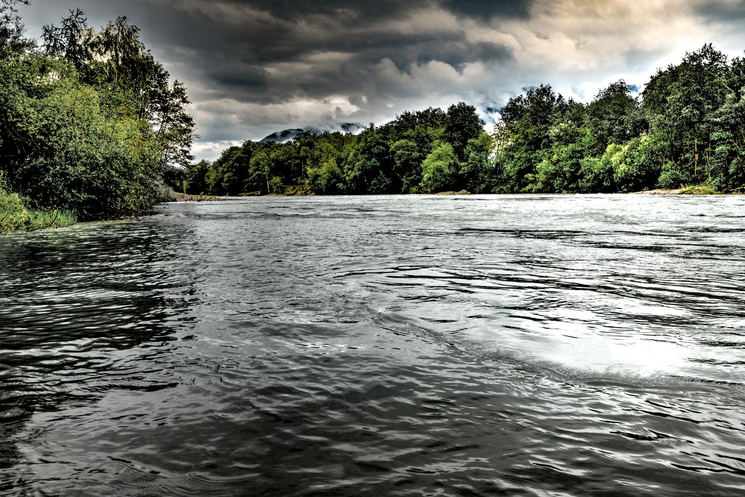 Trees along a calm river channel