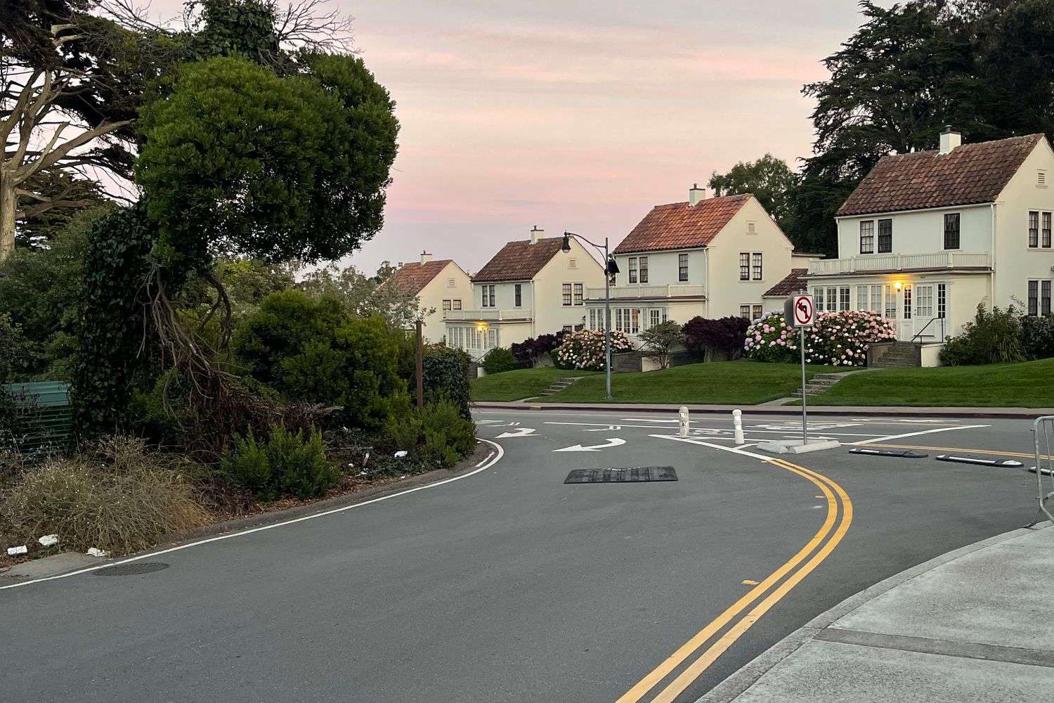 A peaceful residential street lined with houses in evening light