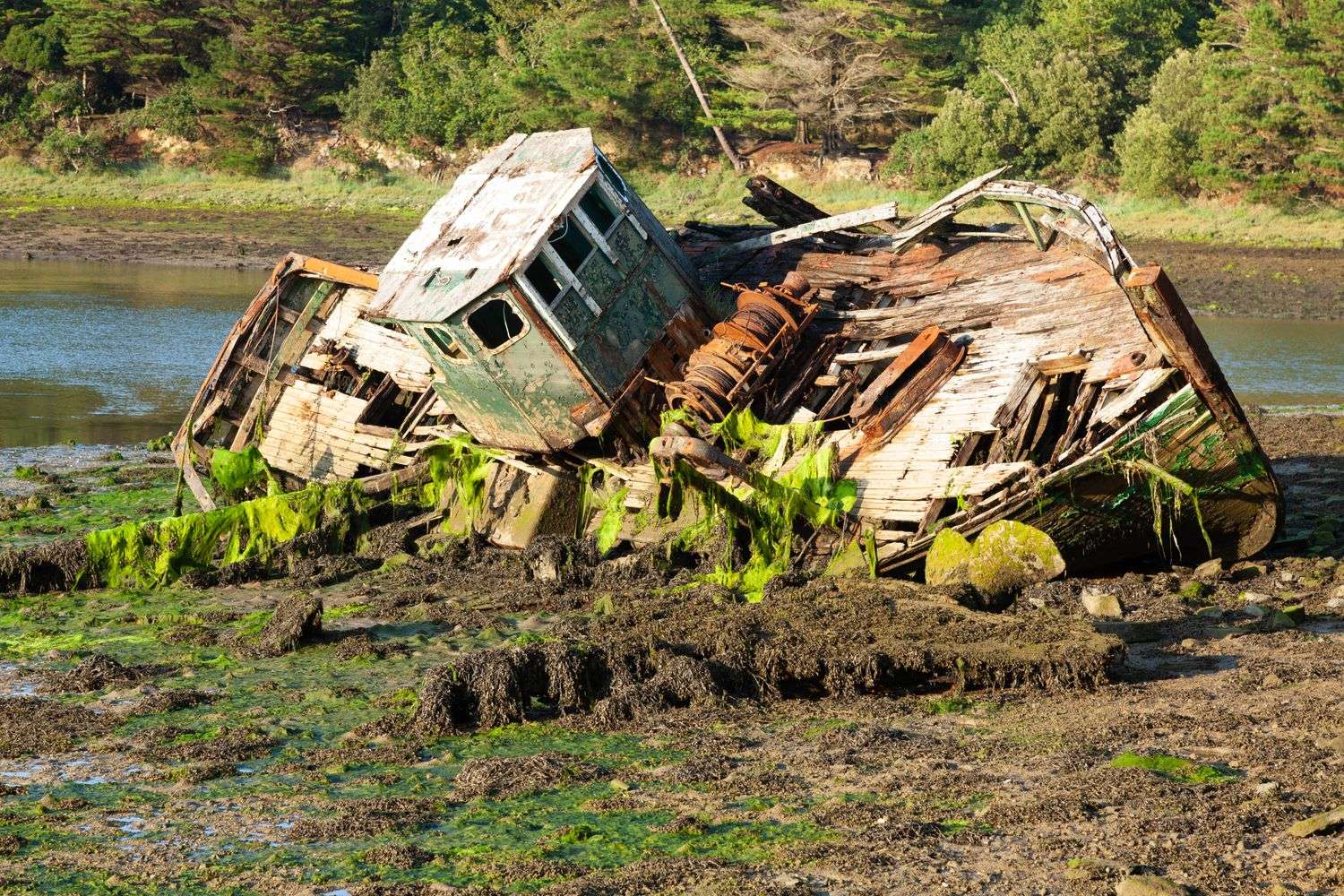 Remains of a historic wooden ship in a river