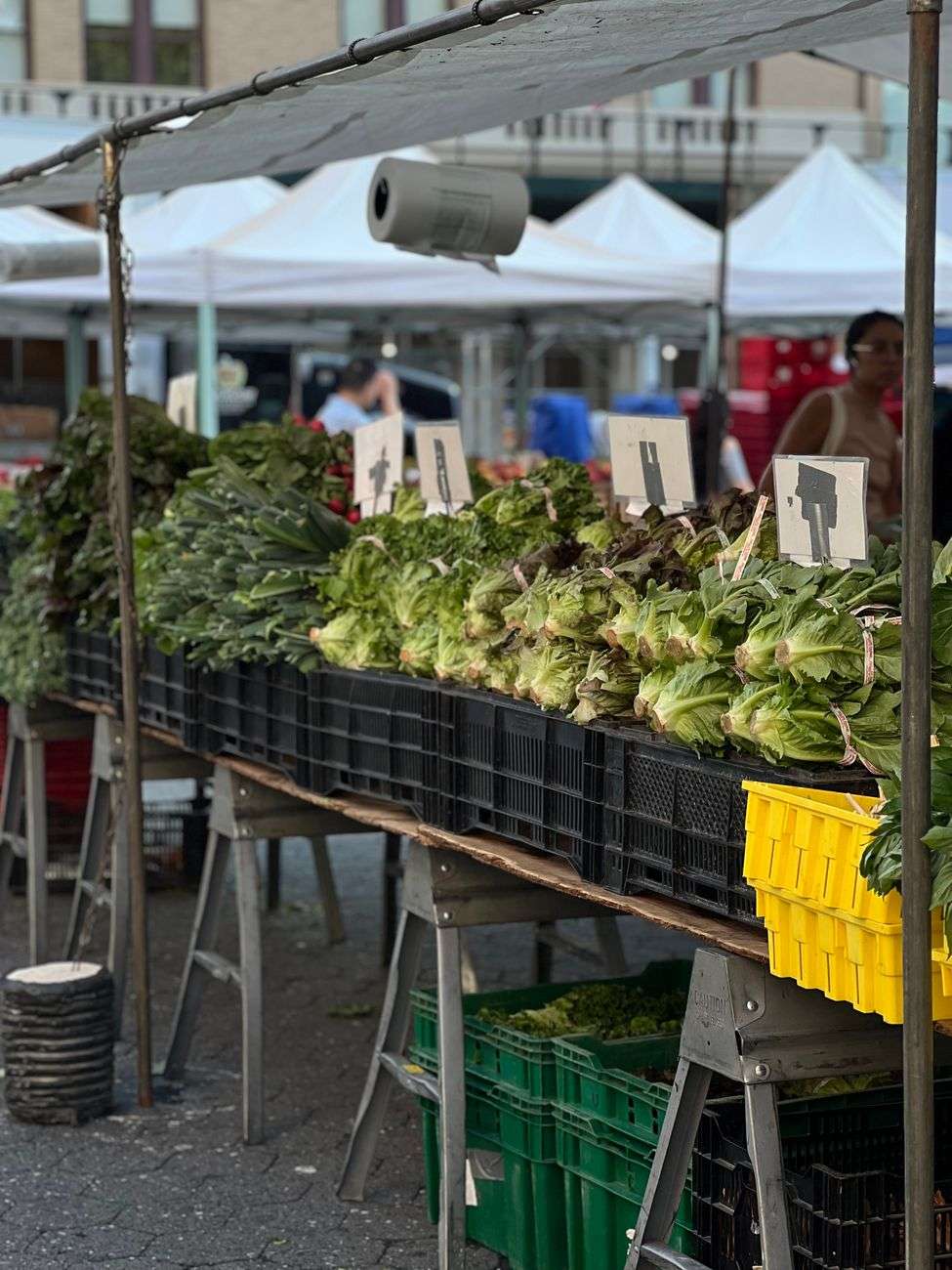 Fresh green vegetables and produce displayed at a bustling farmers market stall