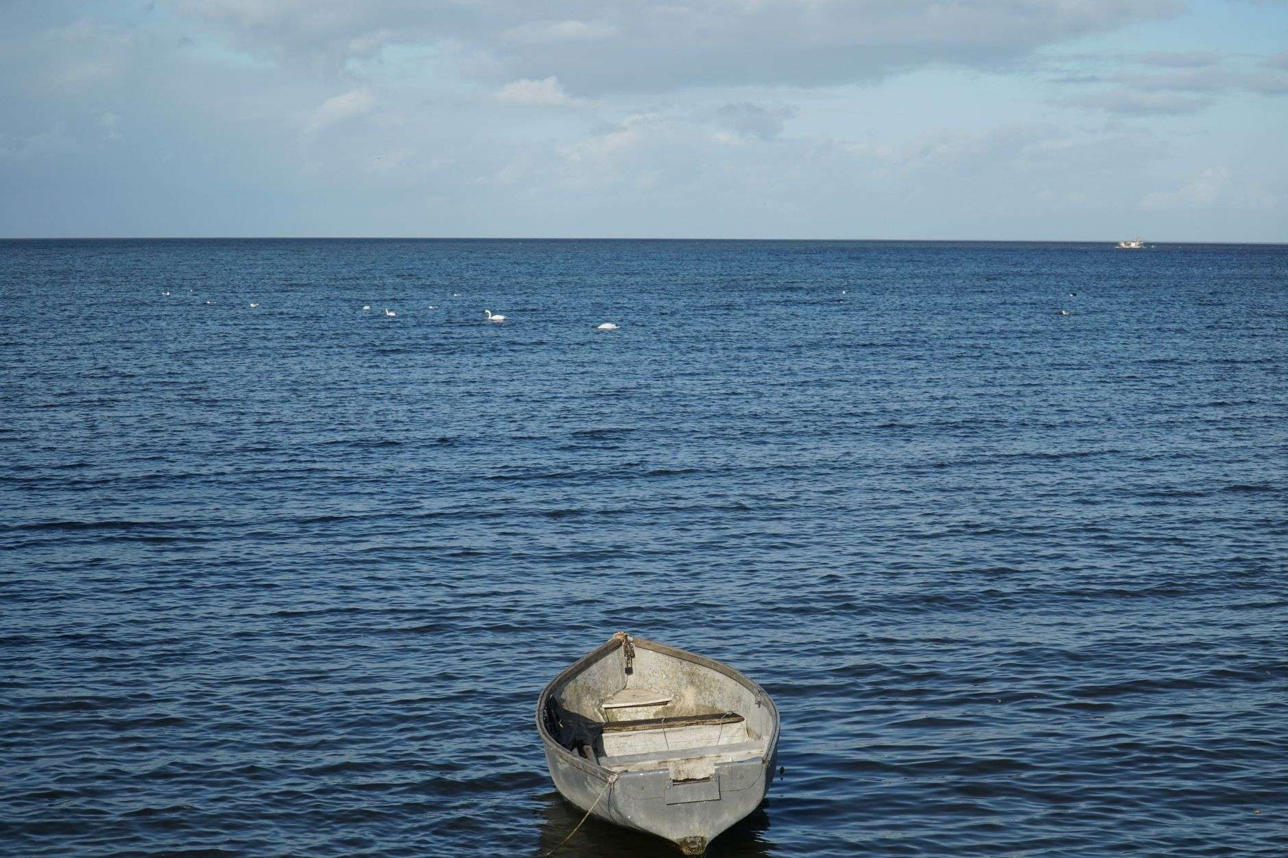 Fishing boat on the Gulf of Mexico