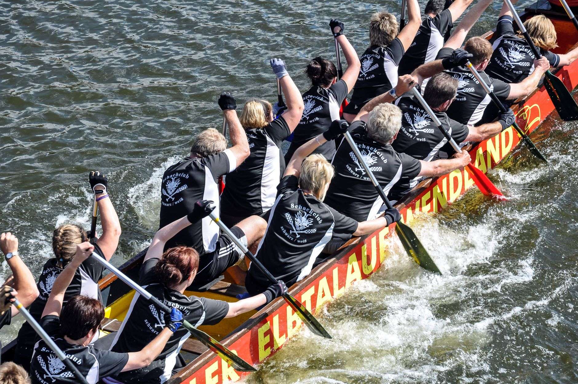 A dragon boat racing team paddling together on a river during a community race