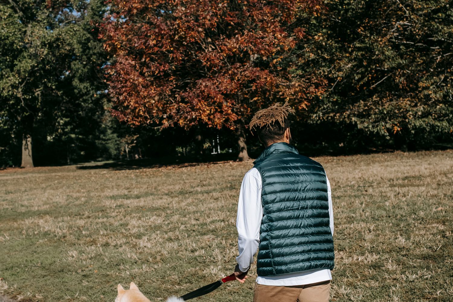 Person walking a leashed dog along a neighborhood path