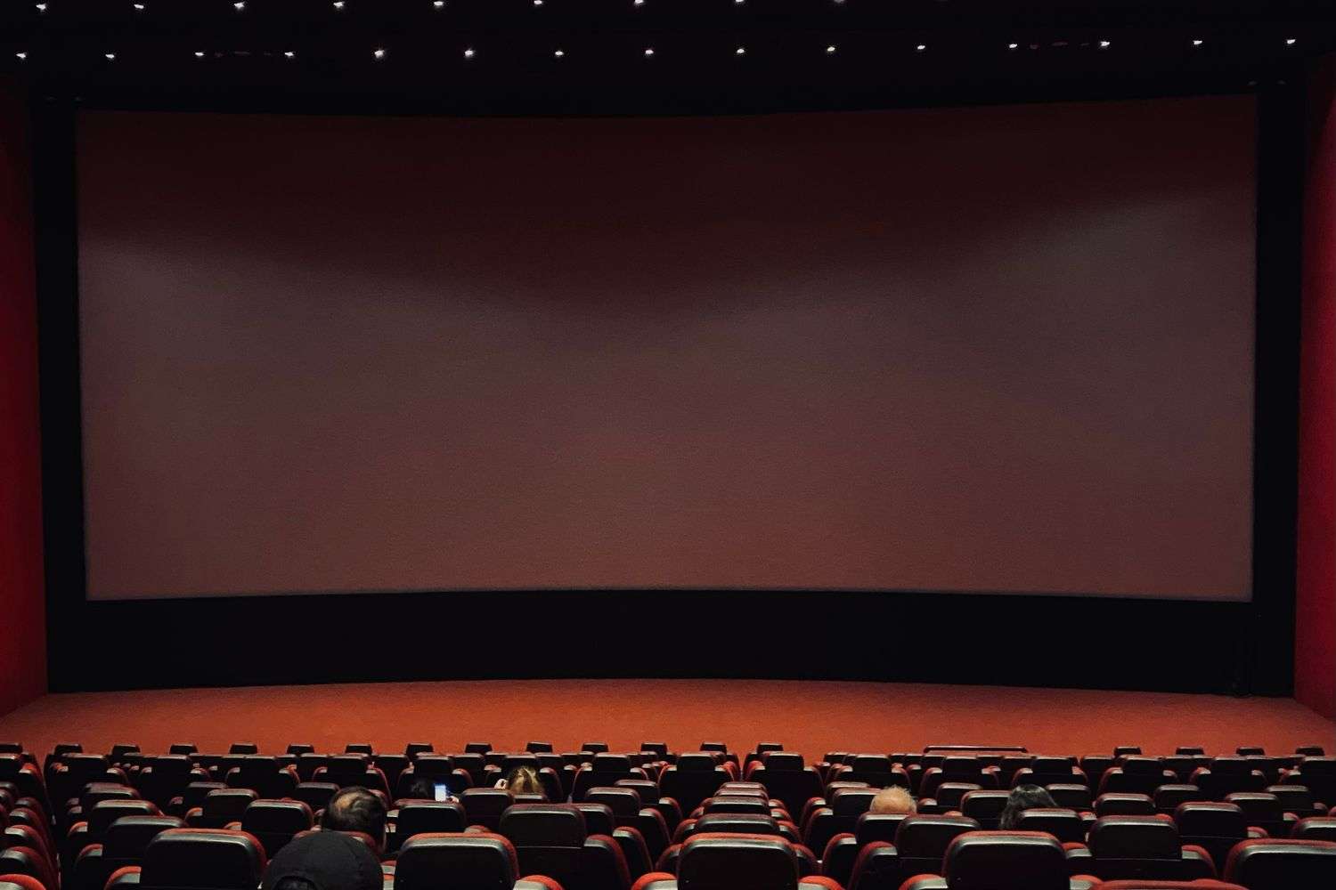 Rows of seats in a cinema theater