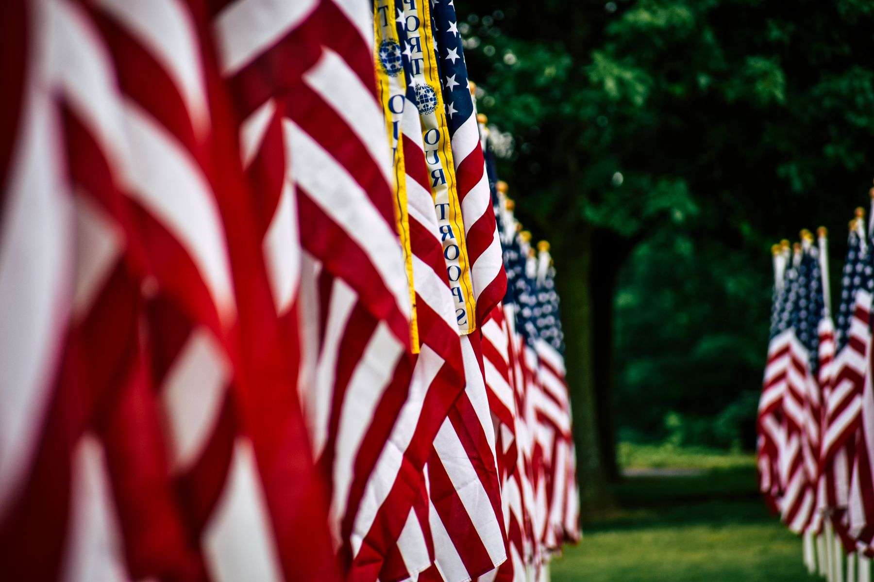 Rows of small American flags planted in green grass