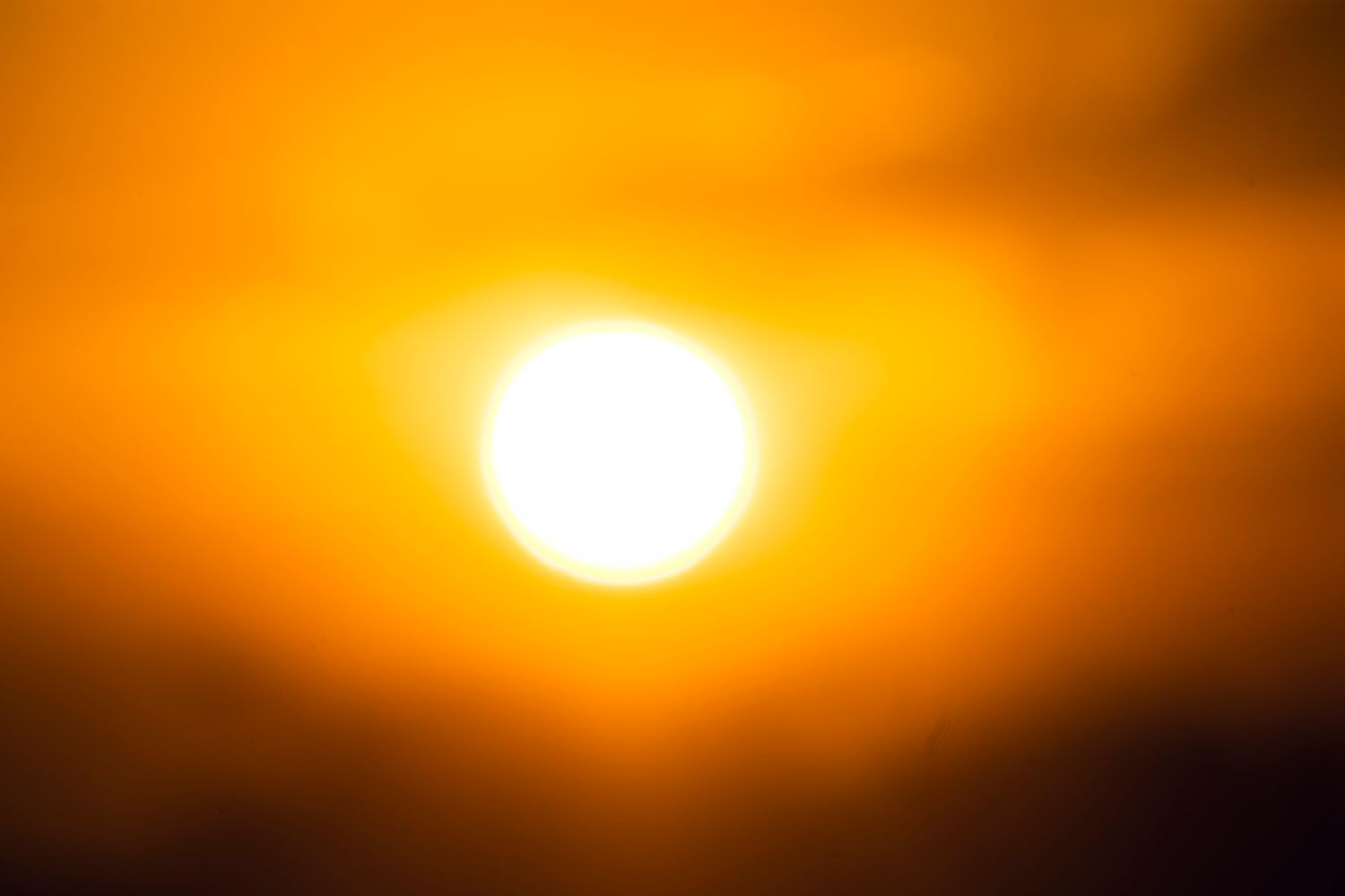 Intense summer sunshine during a Gulf Coast heat advisory in Mobile, Alabama