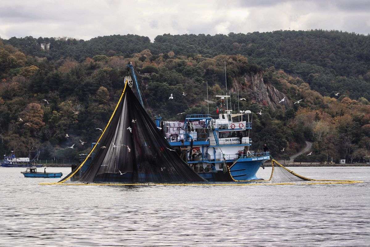 A fishing boat on calm coastal waters along the Alabama Gulf Coast, near where a boater was rescued after his vessel grounded in Portersville Bay.