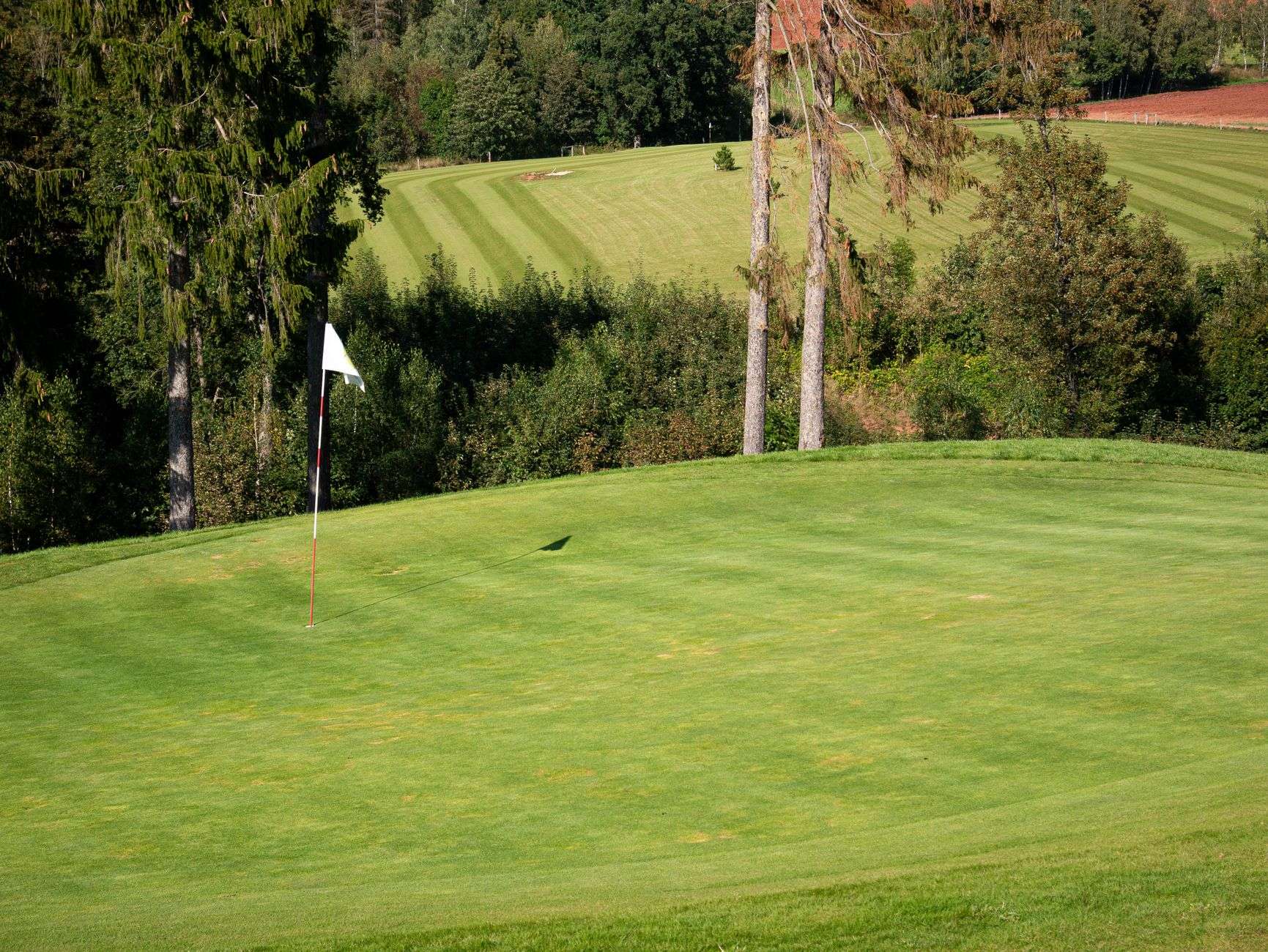 Golf course fairway and green