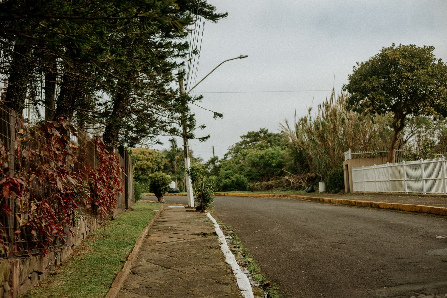 A quiet residential street in Gulf Breeze, Florida