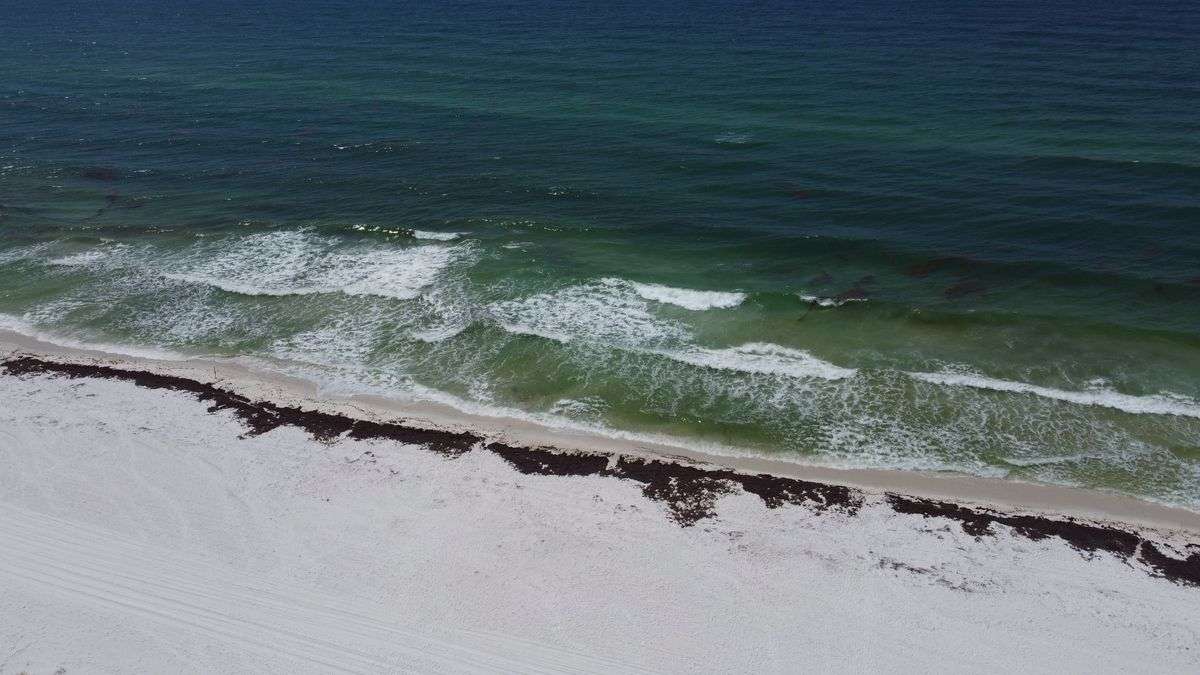 Aerial view of Gulf Coast beach with waves along the shoreline