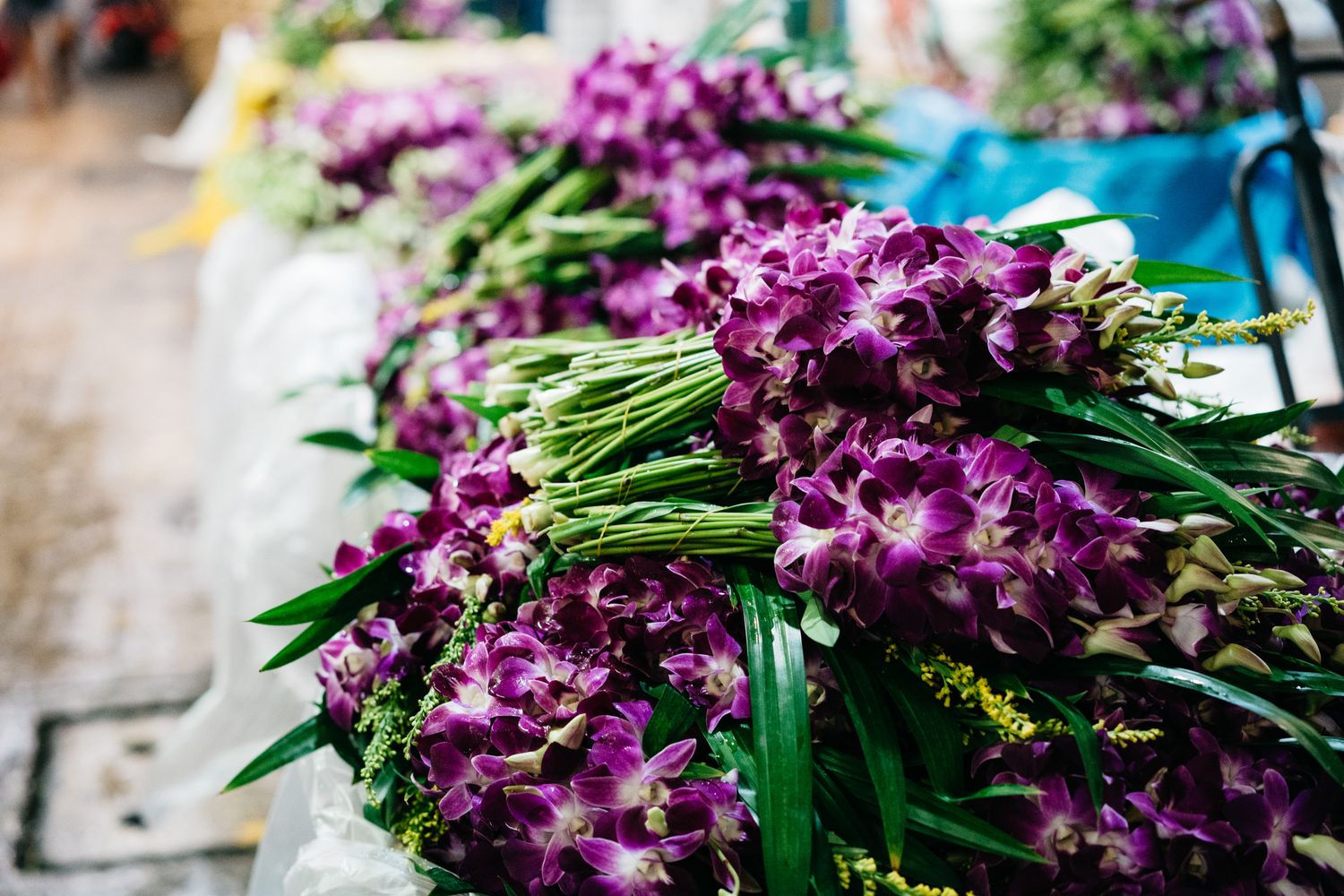 Purple orchid blooms arranged for a garden society show