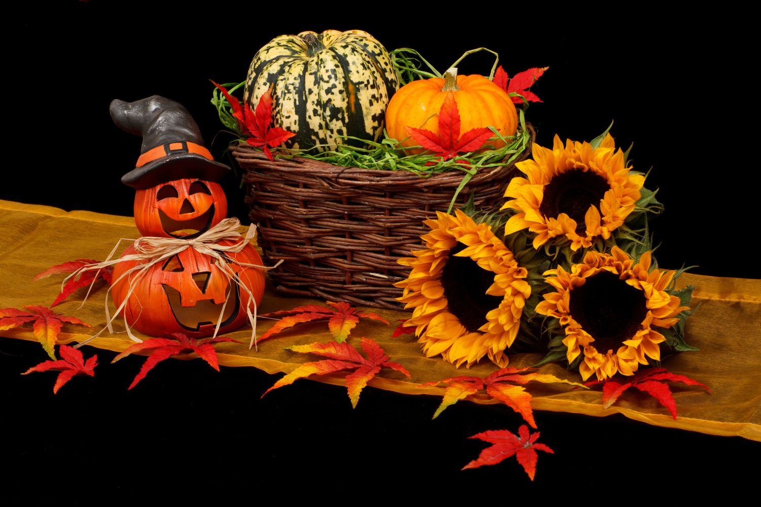 Carved jack-o-lantern pumpkins glow in an autumn display