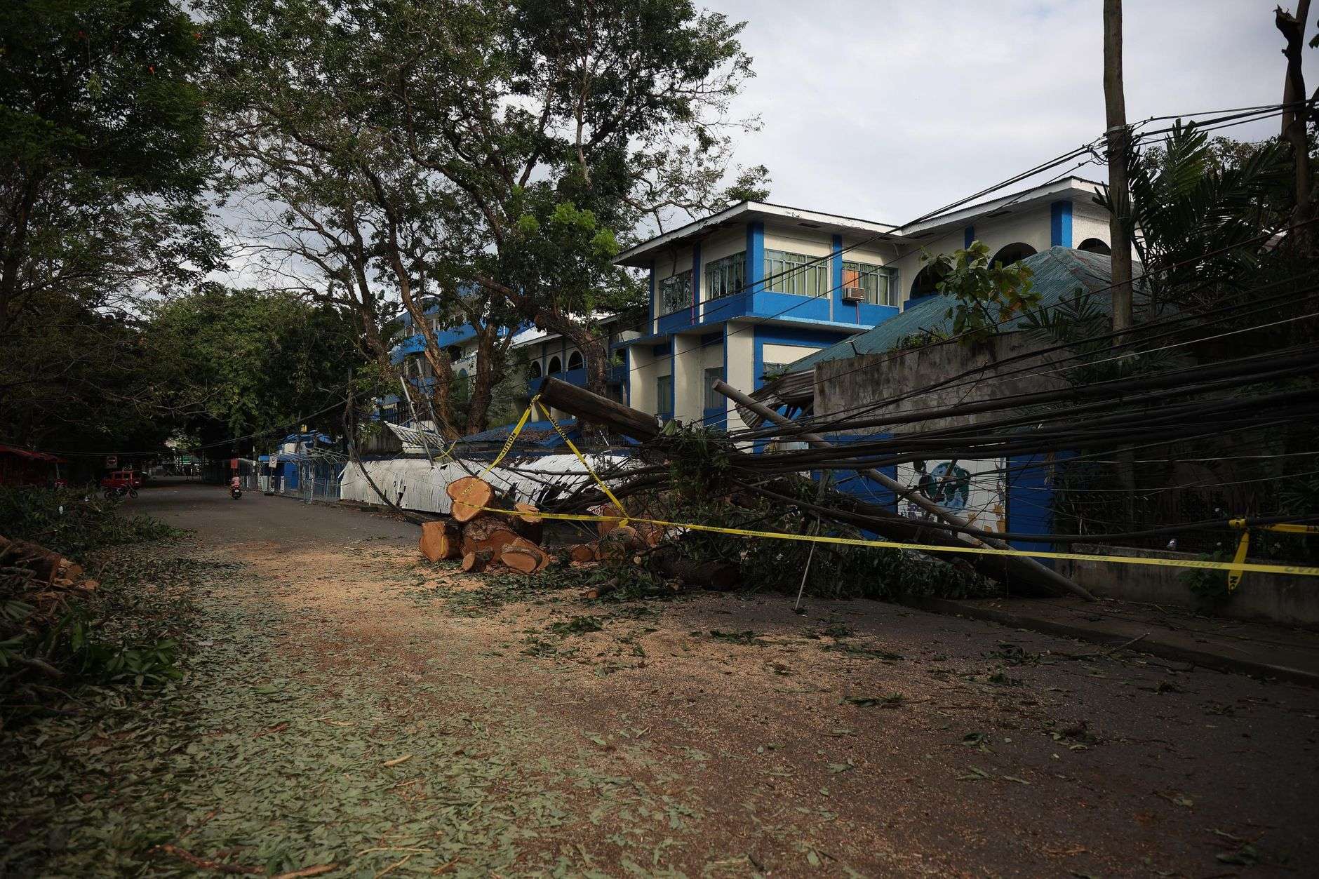 A fallen tree and downed power lines blocking a suburban street after a severe storm