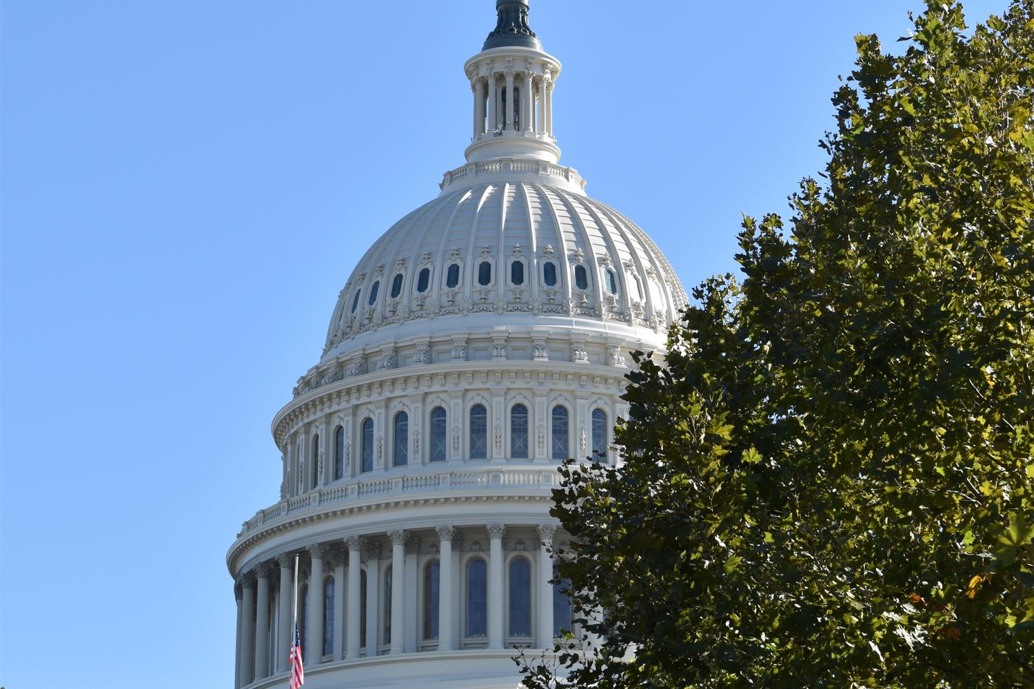 The U.S. Capitol building in Washington, D.C.