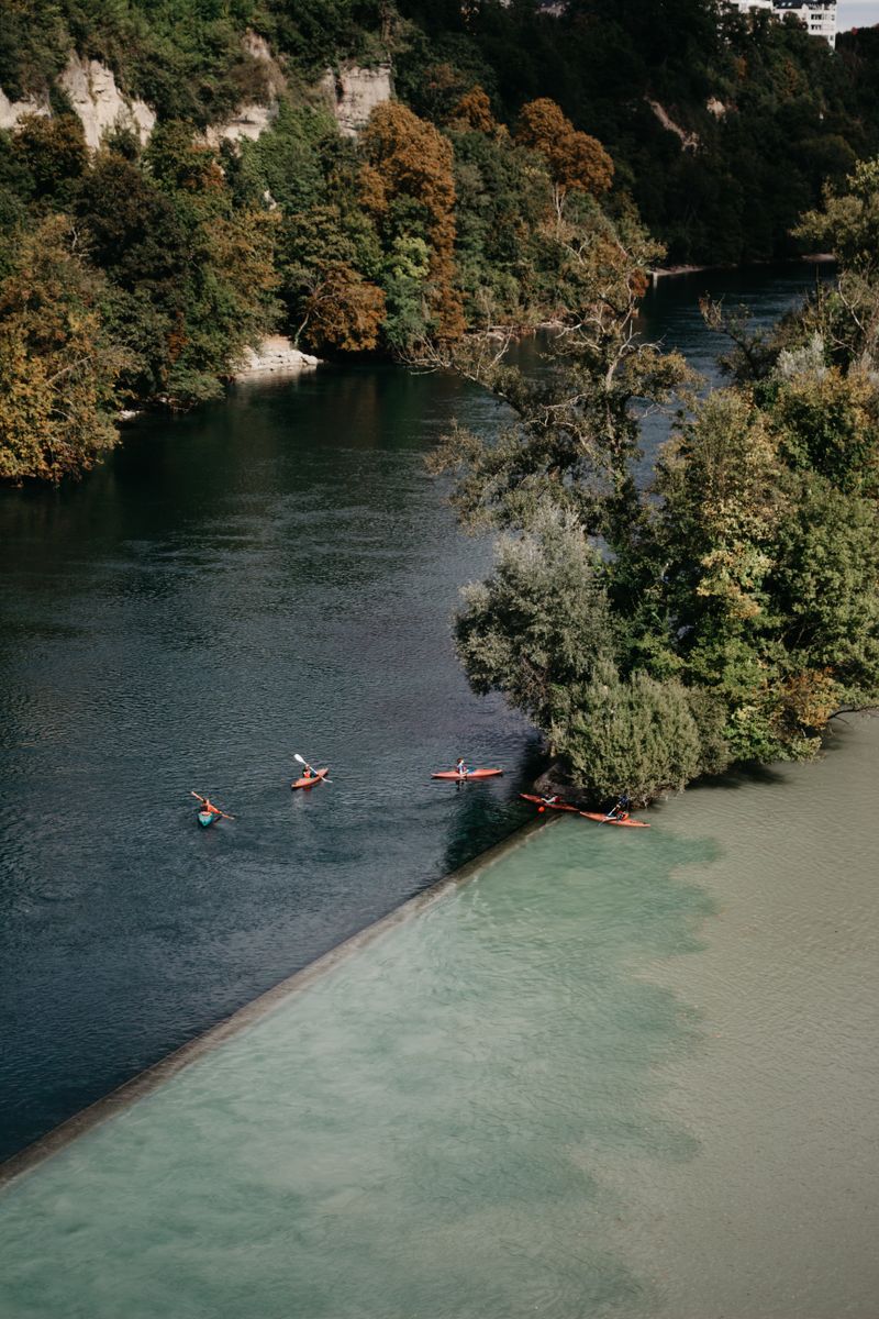 Aerial view of several kayakers paddling in a line along a calm, tree-lined waterway