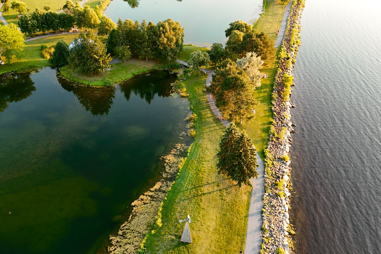 A calm lake surrounded by trees in a city park