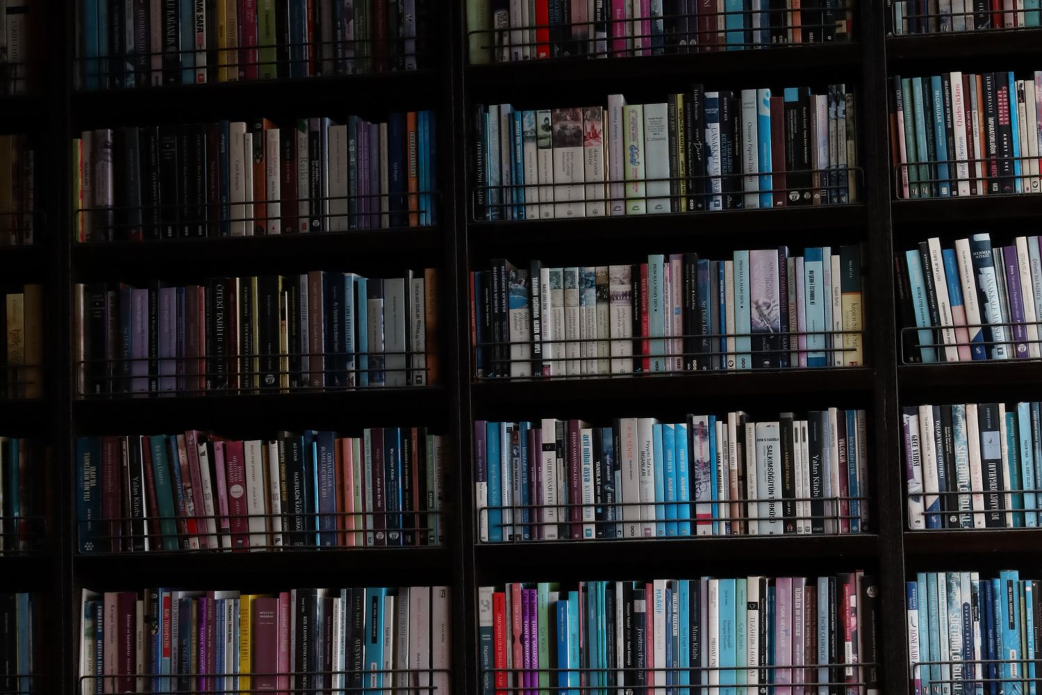 Bookshelves inside a public library